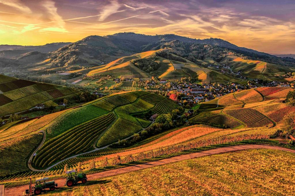 A Data-Driven Approach to Improving Rural&nbsp;Healthcare